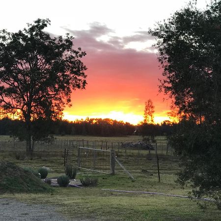 Lovedale Red Gum Cottage Zewnętrze zdjęcie