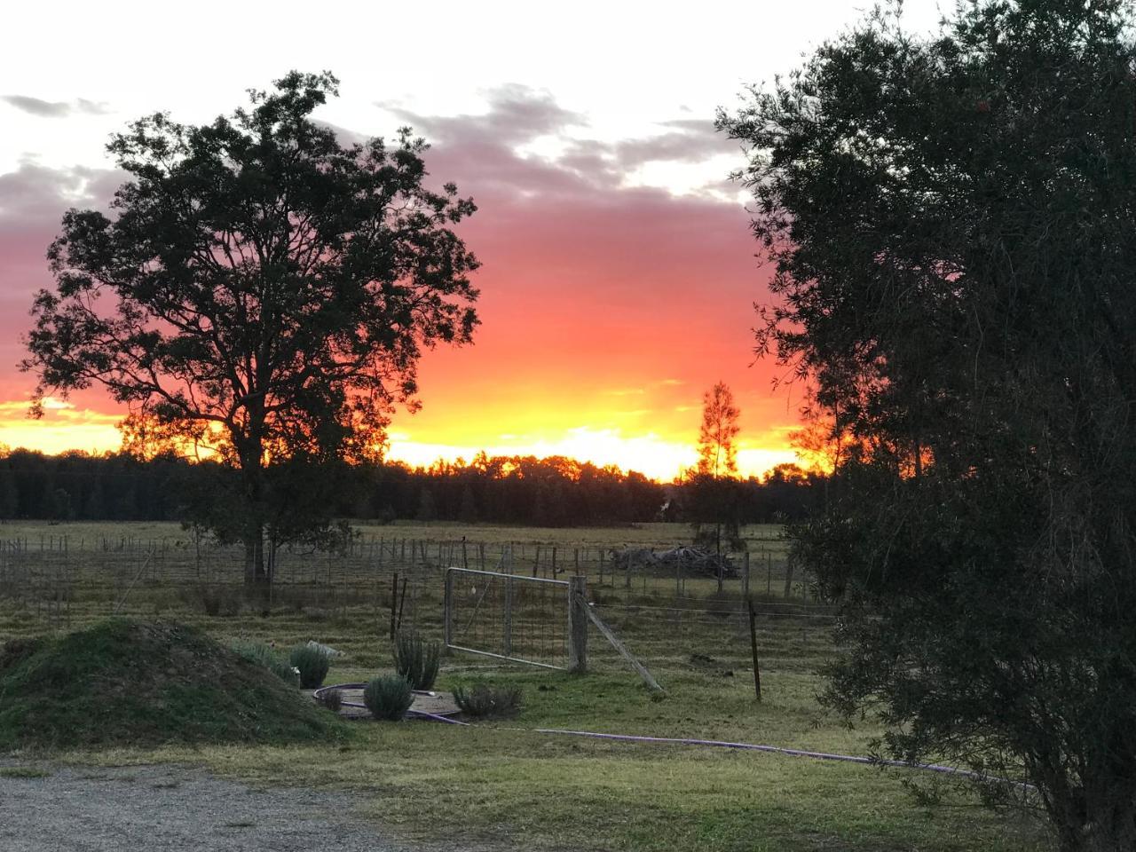 Lovedale Red Gum Cottage Zewnętrze zdjęcie